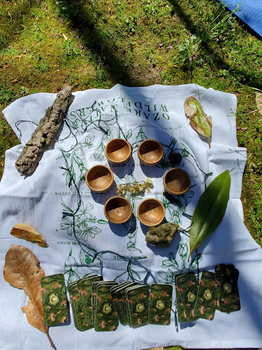 Interconnected Forest Therapy