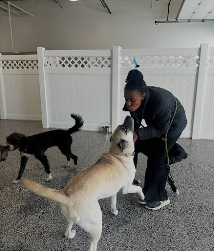 Paws 'n' Rec - Bentonville