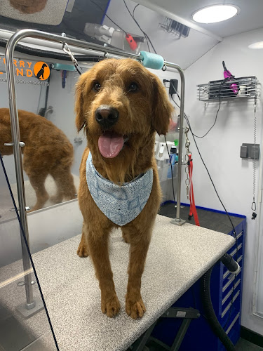 Furry Land Mobile Grooming Northwest Arkansas