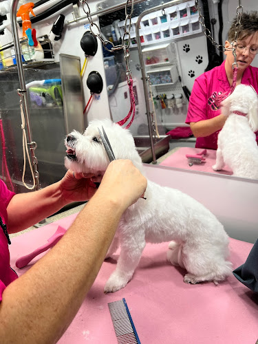 Pawfect Cuts Mobile Dog Spa