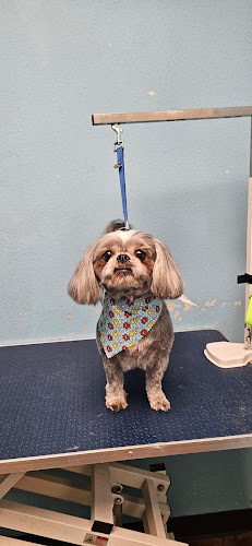 Murry Mobile grooming