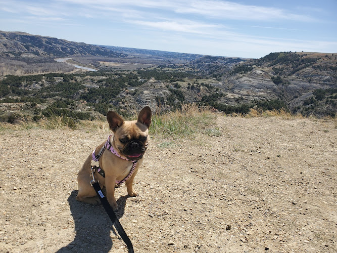 American K-9 Academy