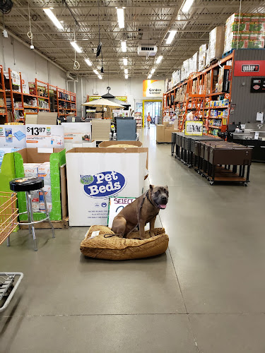 Tip Top K9 Dog Training NW Arkansas