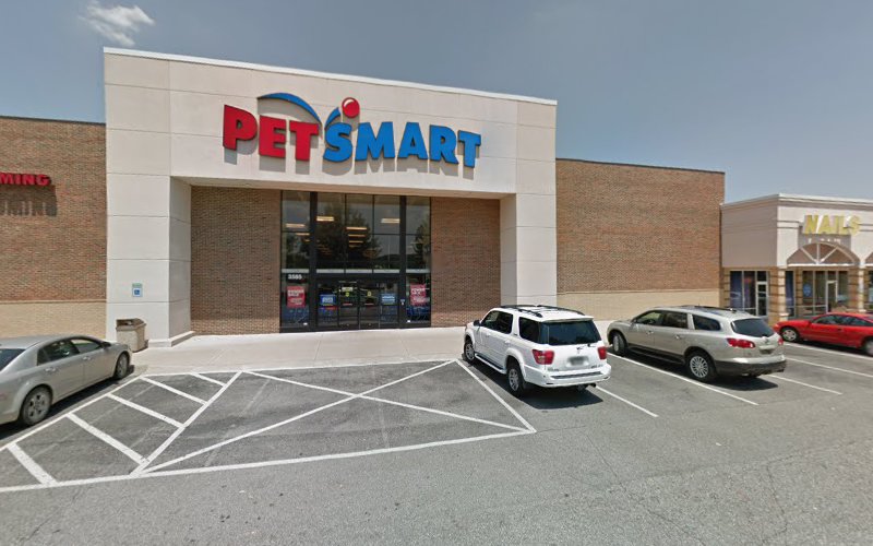 PetSmart Dog Training