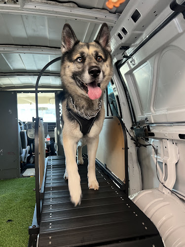 Turbo Tails Fitness LLC - Mobile Dog Gym