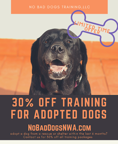 No Bad Dogs Training, LLC