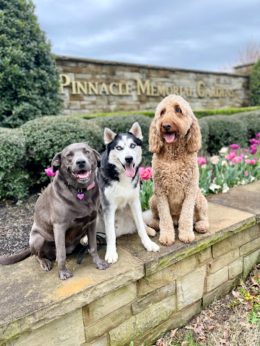 The Pet Sitting Company, LLC