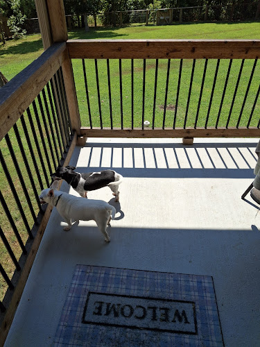 Happy Tails Pet Sitting