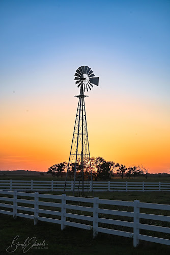 Brandi Edwards Photography