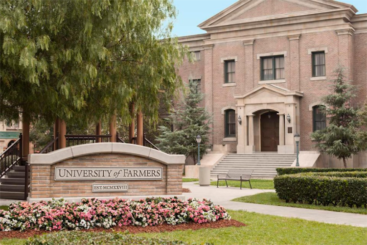 Farmers Insurance - Clarissa Ogden