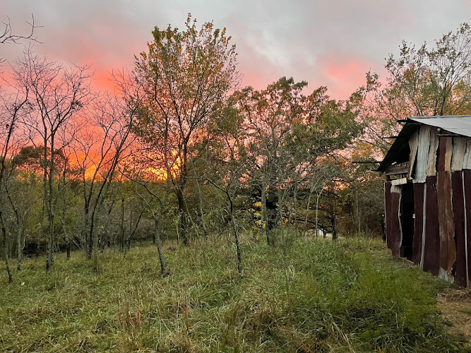 Fitzgerald Mountain RV Camp