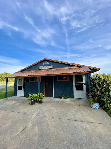 Cowpatty Campground And RV Park Fayetteville Arkansas