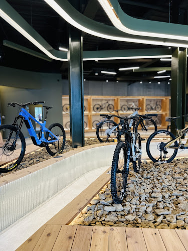 Ari Bicycles - Bentonville